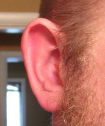 File:Ear plugs 003-2.jpg