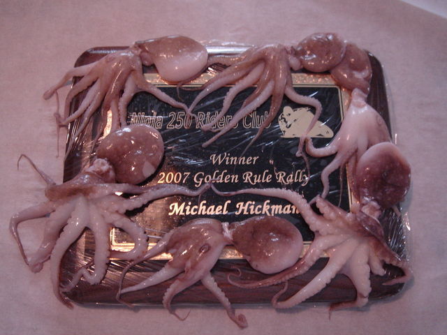 File:Squid 4.jpg