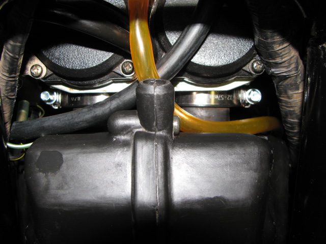 File:IMG 0108.jpg
