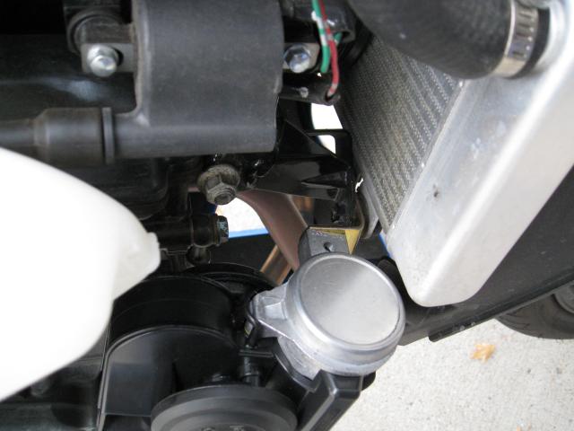 File:Horn 2.jpg