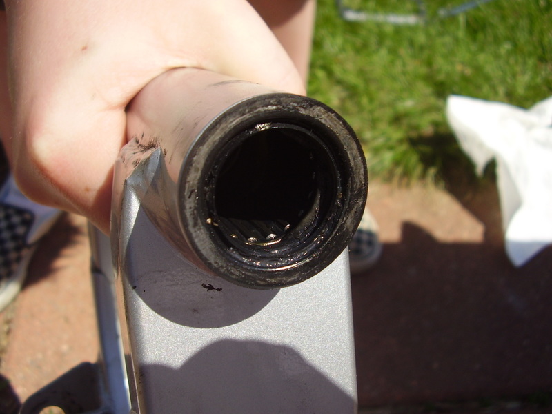 File:Dirtyneedlebearings.jpg