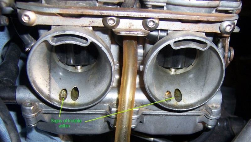 File:100 1860-c.jpg