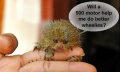 Thumbnail for version as of 03:27, 2 May 2009