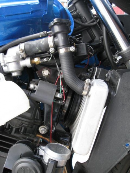 File:Horn 4.jpg