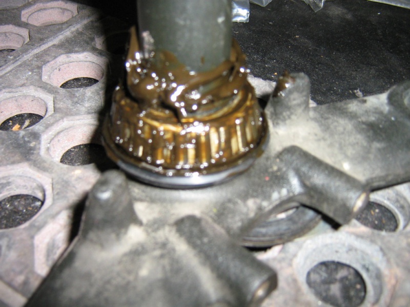 File:IMG 5702.jpg