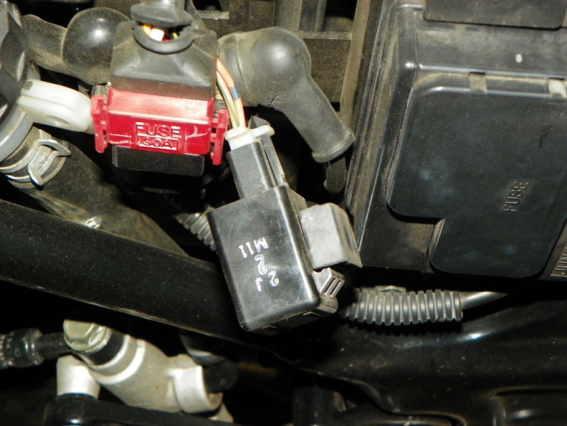 File:100 0391.jpg