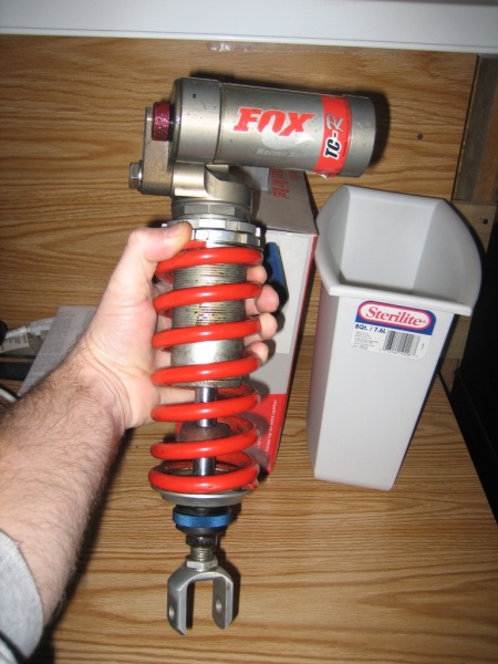File:Fox-01.jpg