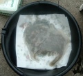 Thumbnail for version as of 08:51, 5 July 2007