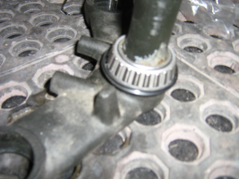 File:IMG 5700.jpg