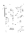 Thumbnail for version as of 08:54, 5 August 2010