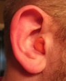 Thumbnail for version as of 10:38, 2 April 2009