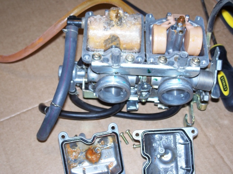 File:100 0399.jpg